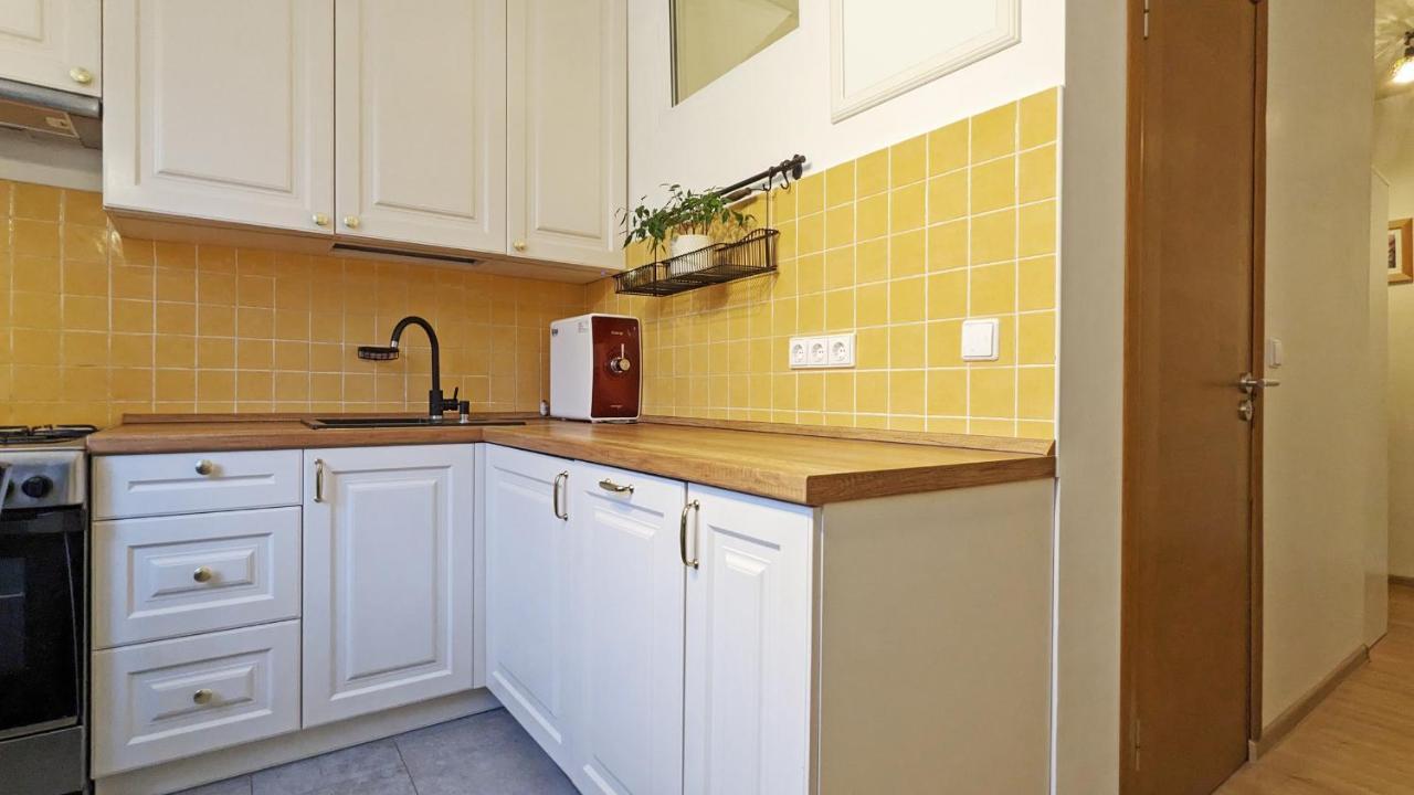 German Street Apartment วิลนีอุส ภายนอก รูปภาพ